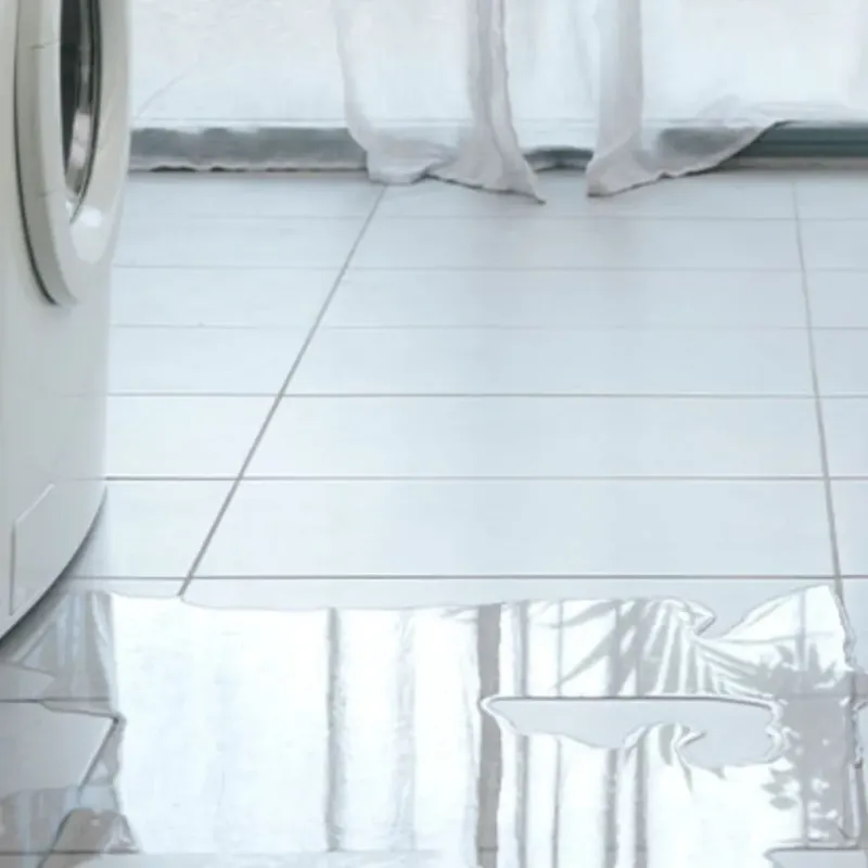 Appliance Leak Cleanup in Heard County, GA
