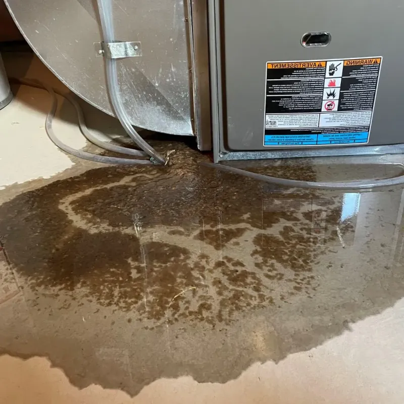 Pipe Burst and Leak Restoration in Heard County, GA
