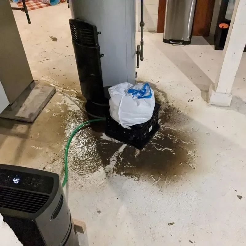 Sewage Backup Cleanup Service in Heard County, GA